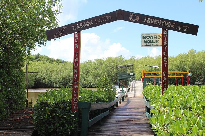 SoCoHo Eco Half Day - Mangrove Kayak & Reef Snorkeling - Who should book this and who should reconsider