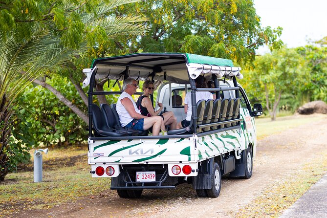 SoCoHo Jeep Safari - Historical Sites - Lunch - Beach - Devil’s Bridge: Blowholes, Rock Arches, and the Soundtrack of Waves