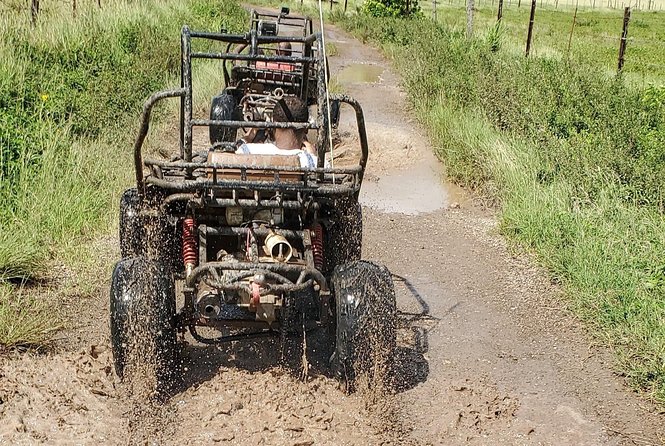 St. Mary's Mud Buggy Experience - Guides and the Culture of the Ride: When the Experience Clicks