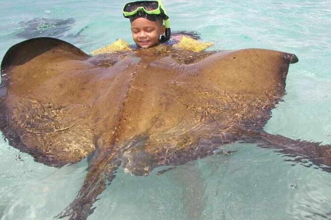 Stingray City - Hotel round-trip and the timing that really matters