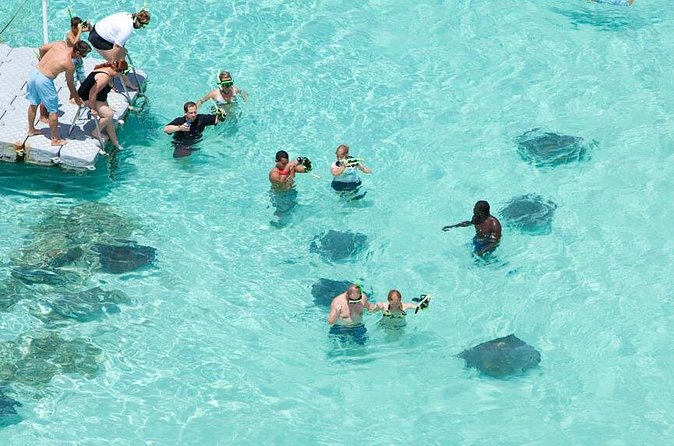 Stingray City - Snorkeling close: how you get that face-to-face feeling