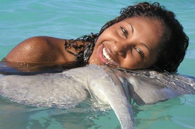 Stingray City - Beyond stingrays: fish, starfish, and coral in the same stop
