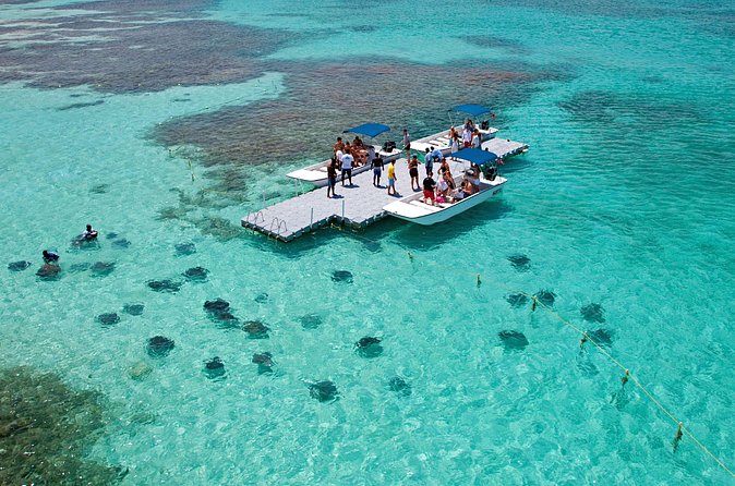 Stingray City - Booking with NexusTours Antigua, and how to avoid headaches
