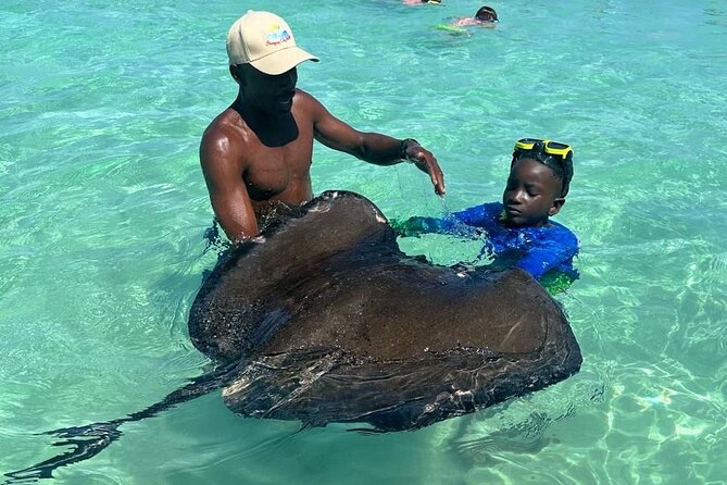 Stingray City Experience Antigua - Cruise Ship Passengers Edition - Why This Stingray City Feels More Like Nature Than a Performance