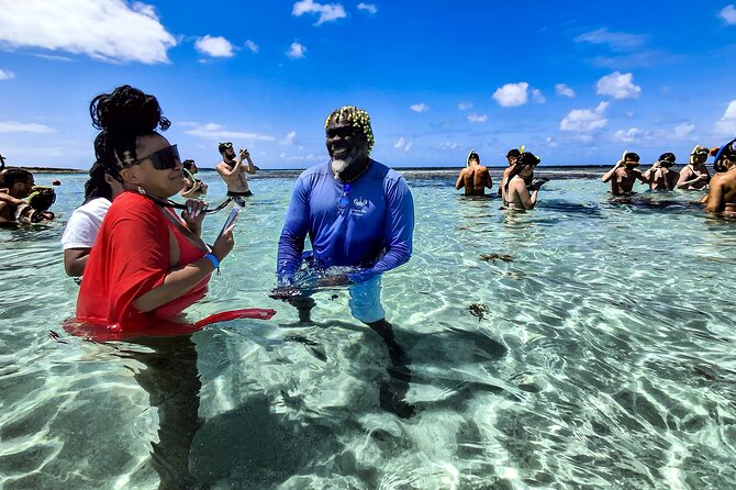 Stingray City Experience Antigua - Cruise Ship Passengers Edition - Who This Stingray City Excursion Fits Best