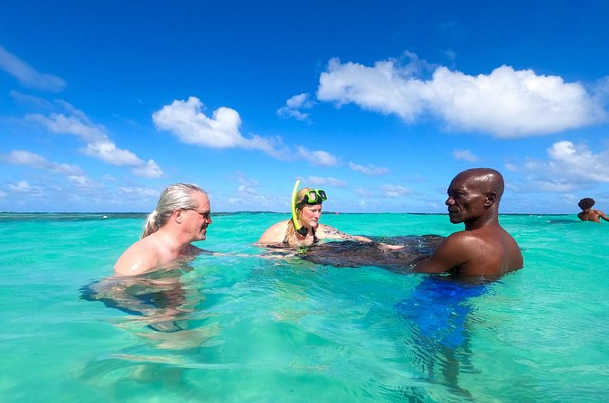 Stingray City Experience Antigua - Cruise Ship Passengers Edition - Should You Book Stingray City Experience Antigua for Your Cruise Day?
