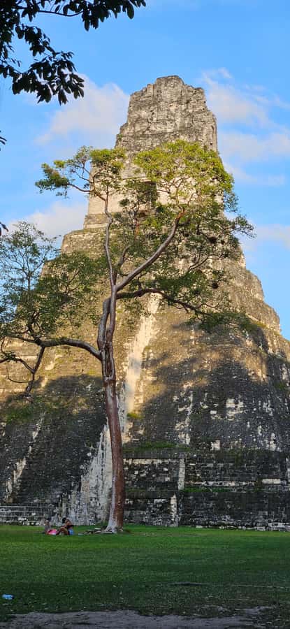 Tikal from Hotel Camino Real El Remate - All Inclusive - Key things you will notice on this Tikal day