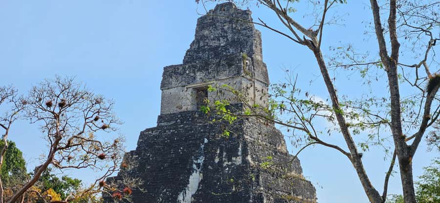 Tikal from Hotel Camino Real El Remate - All Inclusive - Plaza de los 7 Temples and Plaza Mayor: where the site clicks into place