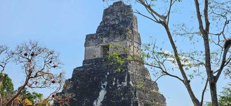 Tikal from Hotel Camino Real El Remate - All Inclusive - Central Acropolis and Northern Acropolis: less famous, more meaningful