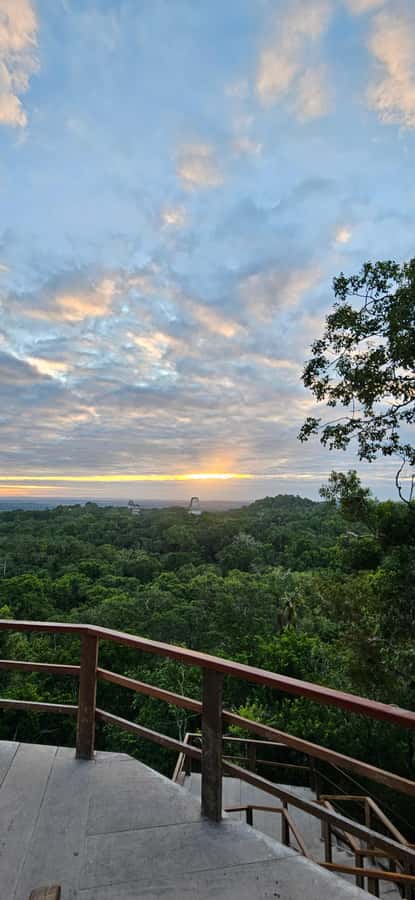 Tikal from Hotel Camino Real El Remate - All Inclusive - Small-group pace and the value of an expert guide
