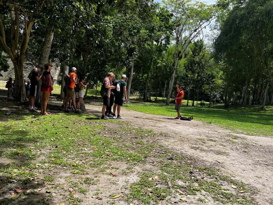 Tikal Group Tour from Flores - The guided Tikal ruins walk: pyramids, plazas, and what a good guide adds