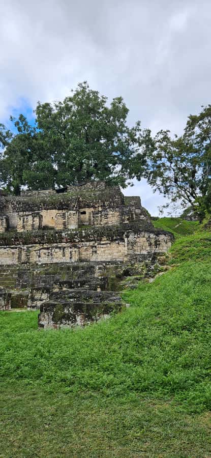 Tikal Group Tour Transportation, Guide plus Lunch - Key highlights that make this day trip click