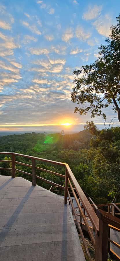 Tikal Group Tour Transportation, Guide plus Lunch - Getting There With Pickup at Yo Amo Petén and Flores