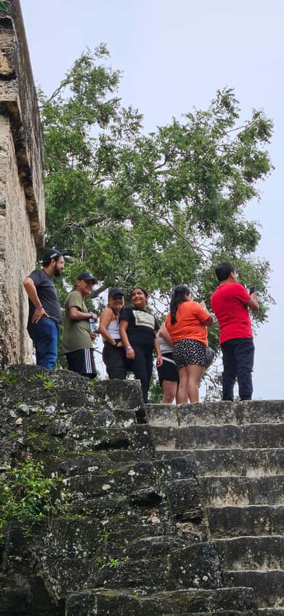 Tikal Group Tour Transportation, Guide plus Lunch - Temple 4 and the 70 Meter Views You’ll Remember