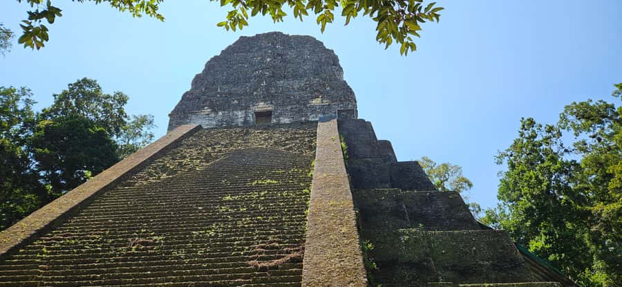 Tikal Group Tour Transportation, Guide plus Lunch - Price and Logistics: Is $70 Worth It?