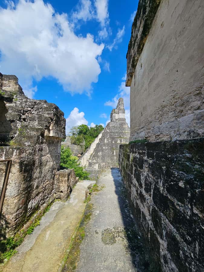 Tikal Group Tour Transportation, Guide plus Lunch - The 75 Percent Route That Keeps You Moving
