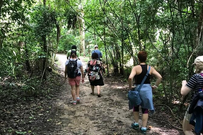 Tikal Private Day Tour Maya Adventure from Flores - Lost World: earliest occupation, Mayan astronomy, and a 360-degree canopy view