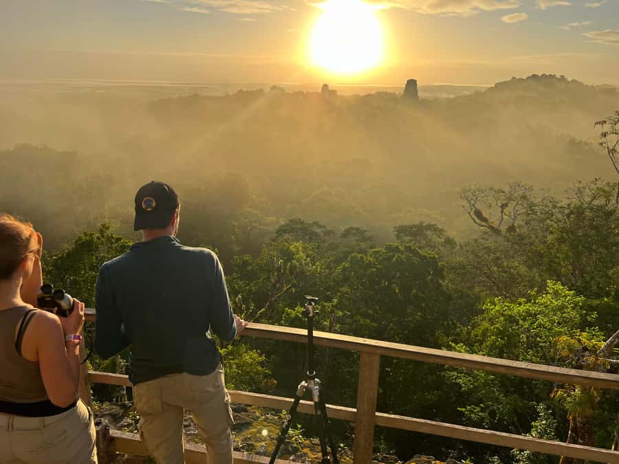 Tikal Sunrise, Archeological focus and Wildlife Spotting - Tikal at Sunrise, When Wildlife Is Most Active