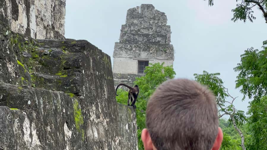 Tikal Sunrise, Archeological focus and Wildlife Spotting - North Acropolis: The “Onion” of Royal Burials