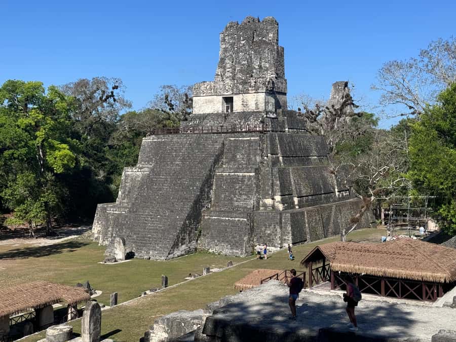 Tikal Sunset, Archeological focus and Wildlife Spotting - The jungle walk part, what you can actually expect