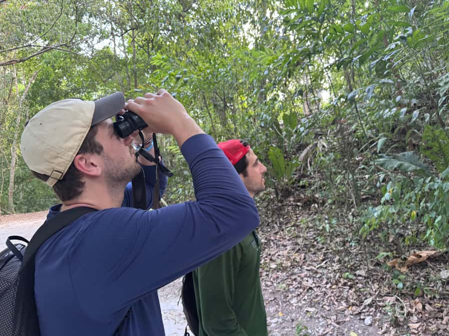 Tikal Sunset, Archeological focus and Wildlife Spotting - From pickup to the Trail Gate, here is how the timing works