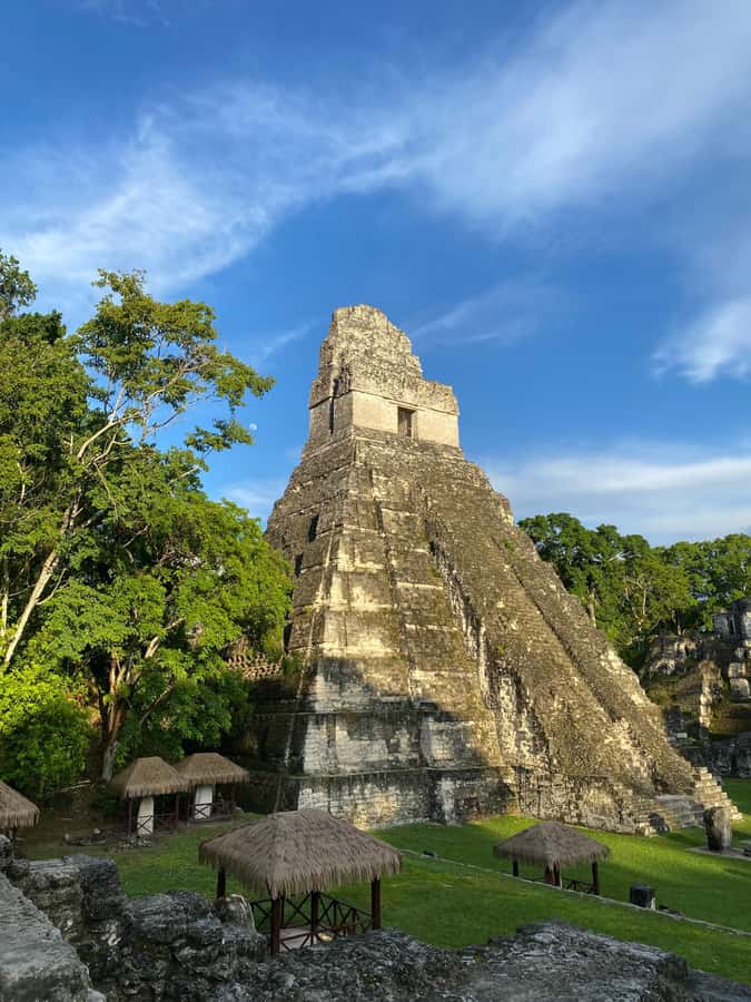 Tikal Sunset Experience: Archaeological Tour + Sunset Views - The 4-hour guided ruins walk inside Tikal