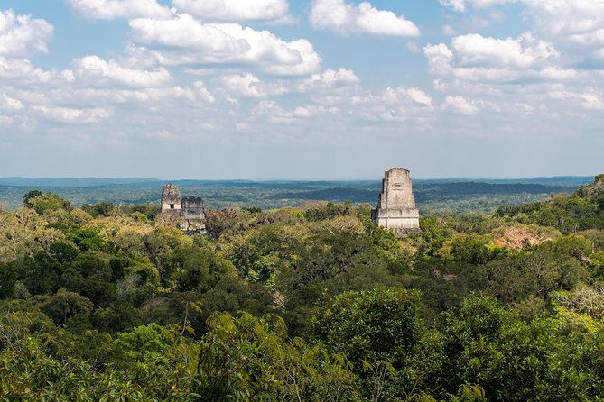 Tikal Tour From Flores, airport and Tikal hotels in Guatemala - Tikal National Park: turning ruins into a story you can follow