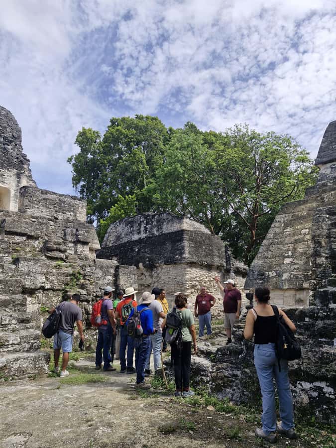 Tour and transportation with tour guide to Tikal. - Transportation, guides, and meals: what you do and do not pay for