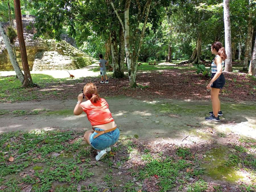 Tour to Tikal: from Mundo Maya Airport in Flores - What to bring for Tikal: the practical stuff that saves the day