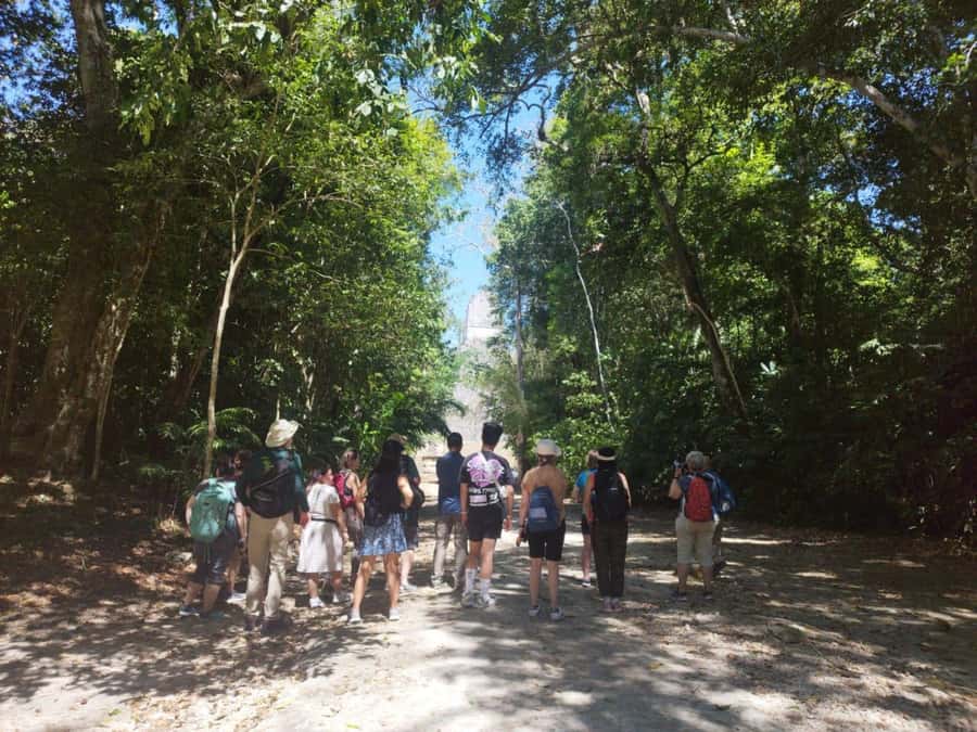 Tour to Tikal: from Mundo Maya Airport in Flores - Guides Loyd and Luis: why the explanations feel worth it