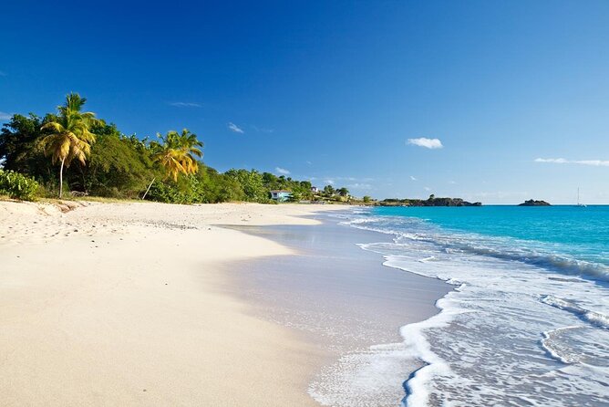 Tuk-Tuk Adventures Rainforest and Beach Hopping Tour - Key Things You’ll Notice on This Antigua Tuk-Tuk Tour