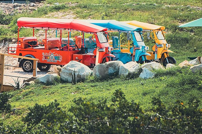 Tuk-Tuk Adventures Rainforest and Beach Hopping Tour - Rainforest Stops, Fruit Sampling, and Local Shopping Time