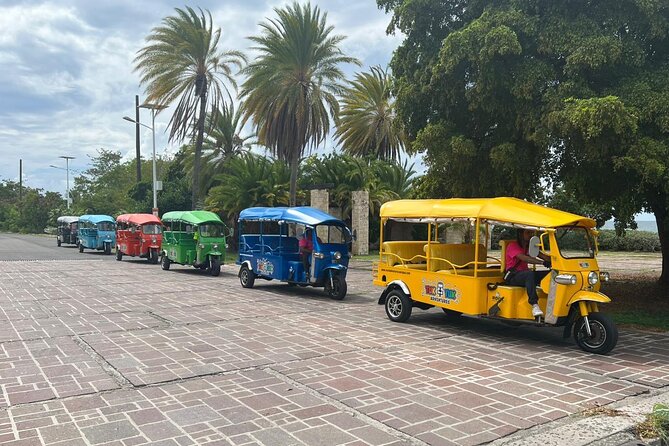 Tuk-Tuk Adventures Rainforest and Beach Hopping Tour - Fig Tree Drive Rainforest: Where the Ride Becomes Part of the Show